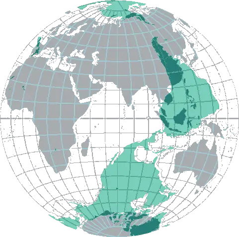 Mapa global de antípodas en proyección ortogonal